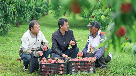 锲而不舍落实中央八项规定精神｜云南曲靖：让基层干部不用“围着表格转”