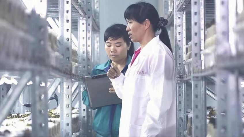 15198485946629 15198485946629