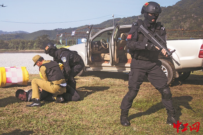 3015881_tpzz_1749782056461_b