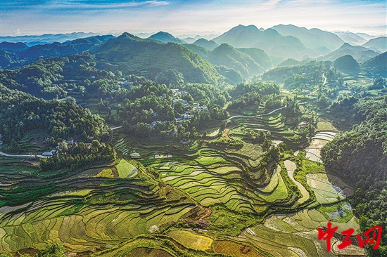 3020494_tpzz_1750084762304_b