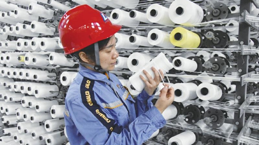 劳模风采·河南省劳动模范｜王喜晔：塑编匠心路 人生绽芳华