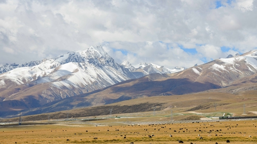 2025年四川省“最美职工”毕强：雪域高原上的“开路先锋”