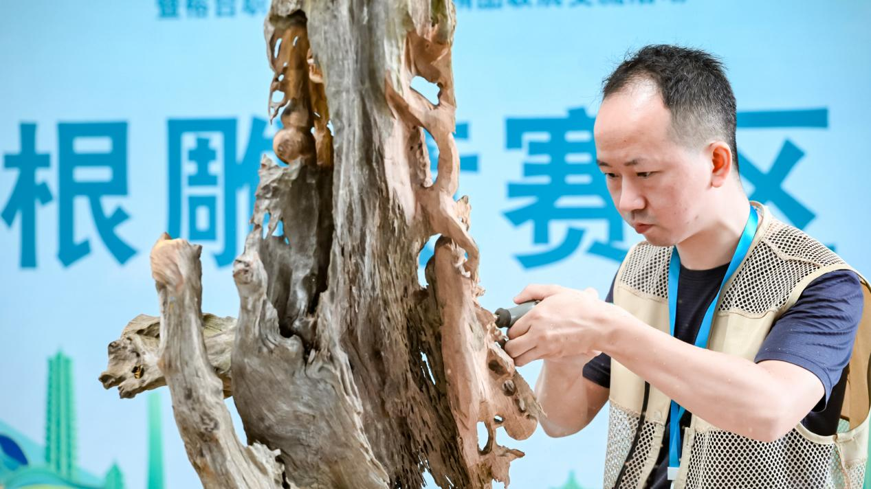 图片1