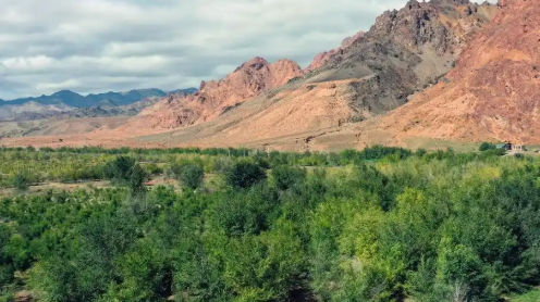 烟台市牟平区总工会以三维体系破题 筑就农民工幸福港湾