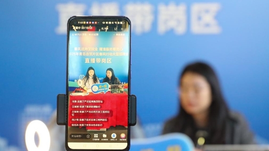 湖南浏阳市总工会打造“云端招聘盛宴”