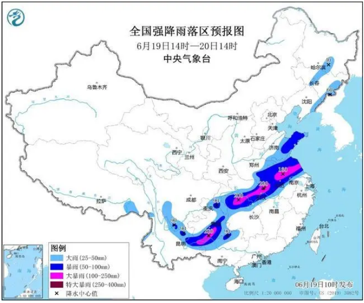 中华秋沙鸭