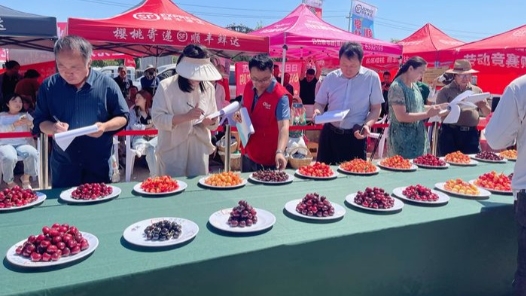 烟台福山：劳动竞赛“樱”领乡村美好未来