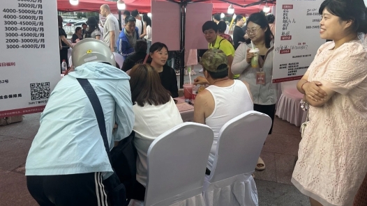 辽宁鞍山市总工会举办2025年夏季夜市招聘会
