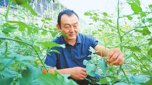 劳模风采·全国劳动模范｜范立德：深耕戈壁带农致富