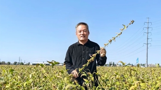 最美职工｜豆荚里的追求与梦想