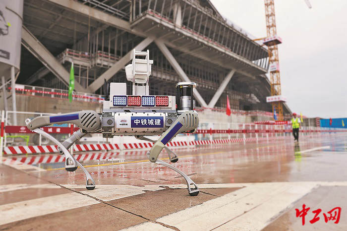 3043393_tpzz_1751812000833_b