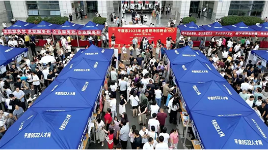 山东省平度市举办2025年大型公益现场招聘会