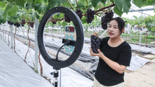 山东莱阳市总工会打造劳模人才直播间