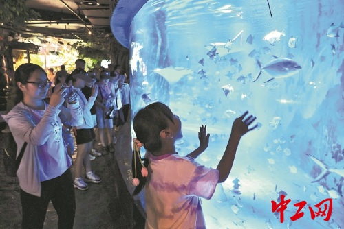 b59fb4c29422db0f528de24c6e60c5ff b59fb4c29422db0f528de24c6e60c5ff