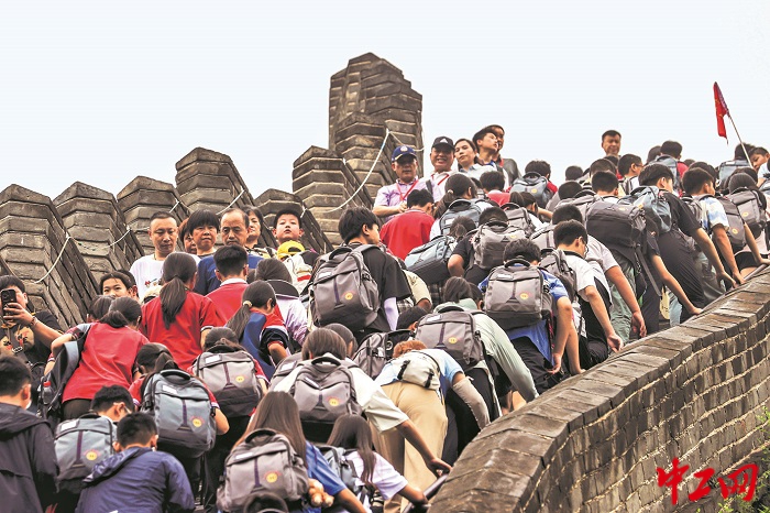 3049996_tpzz_1752219156132_b