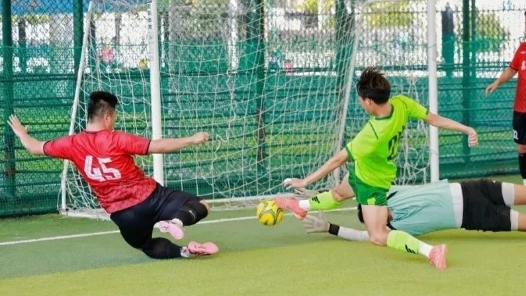 这个夏天，嘉兴市总工会职工文化体育活动如火如荼