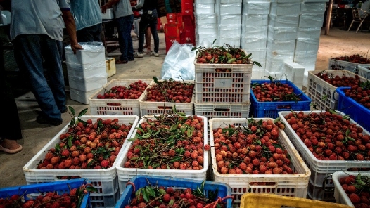 “既享受了工会福利，还为乡村振兴作了贡献”