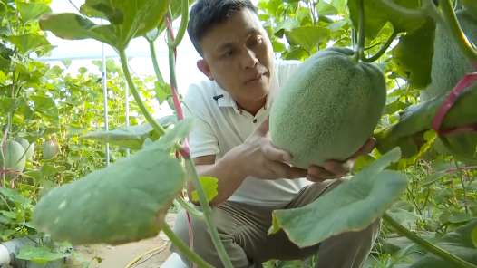劳模故事·全国劳动模范丨林日云：返乡创业扎根农田 脚踏实地帮扶民生
