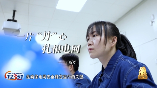 劳模故事·甘肃省五一劳动奖章获得者丨王丽丹：一片“丹”心扎根电网