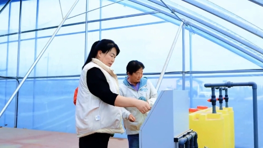 劳模故事·巴彦淖尔市劳动模范丨田园筑梦家——张美珍