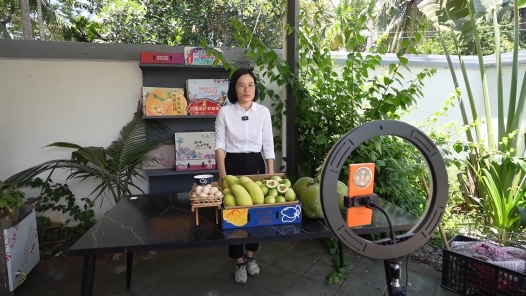 劳模故事·海南省劳动模范丨谭林果：“逆流”返乡 手机架起乡村振兴桥