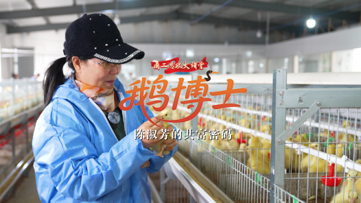 劳模故事·全国劳动模范丨陈淑芳：鹅博士的共富密码