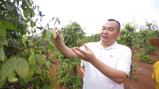 劳模故事·全国劳动模范丨李豫：以科技赋能热作产业高质量发展