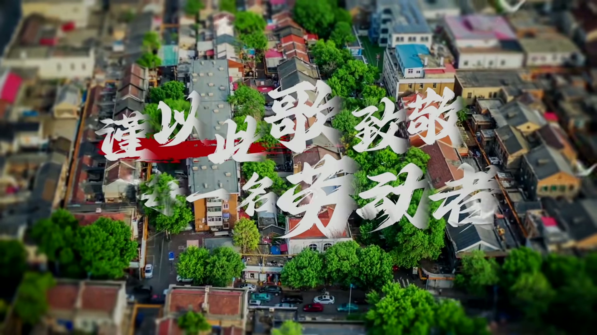 《倔强的飞鸟》 (1)