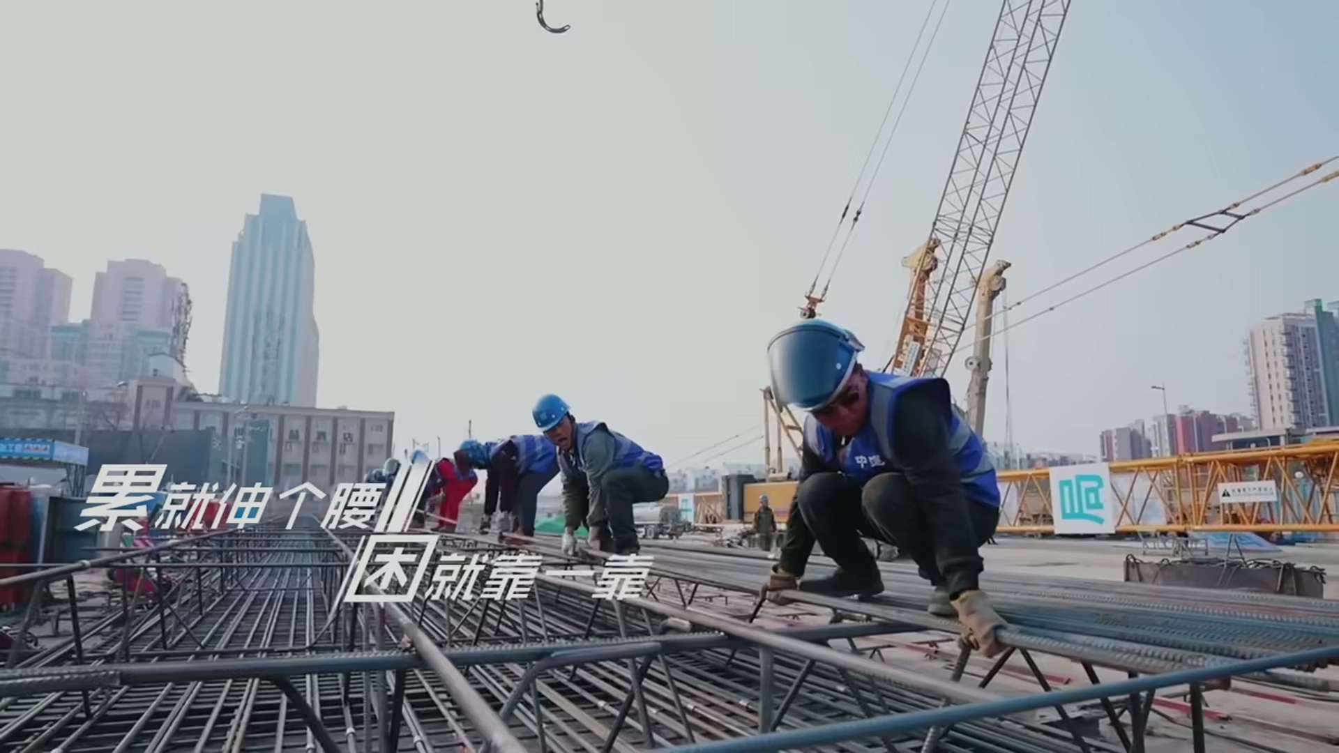 《倔强的飞鸟》 (3)