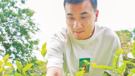 劳模风采·福州市劳动模范丨刘木溶：为茉莉花茶增添“文化密码”