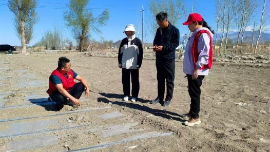 锲而不舍落实中央八项规定精神｜从会议桌转向田间地头——新疆精河县农技干部蹲点助农见闻
