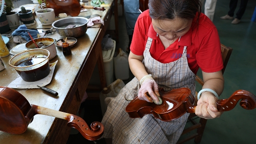 铭记历史 缅怀先烈｜河南确山：提琴奏响乡村振兴新乐章