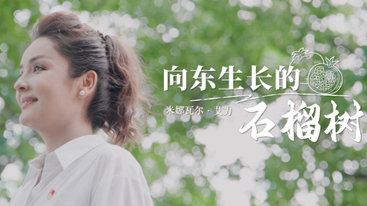 向东生长的石榴树