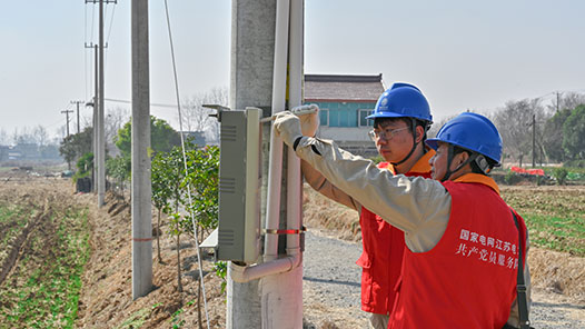 布谷飞飞劝早耕，电力满格绘田景