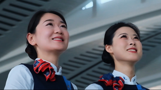 银翼下的守护者