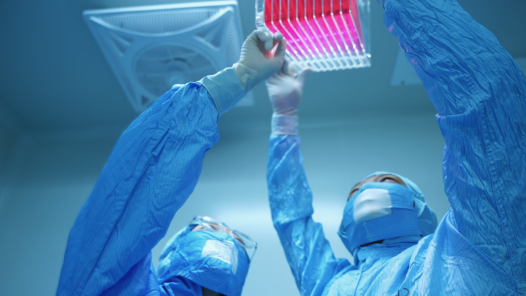 匠心筑梦：一粒糖丸的守护传奇