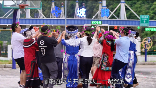 中交高速的三角梅