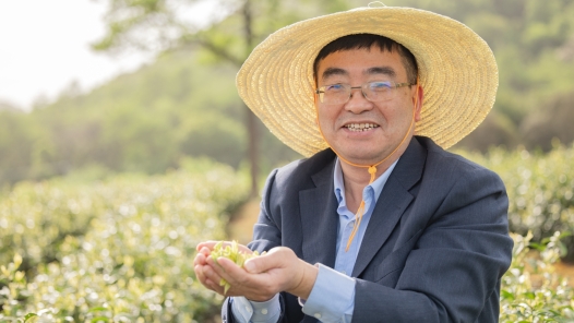 以匠心致初心，让茶香漫山河