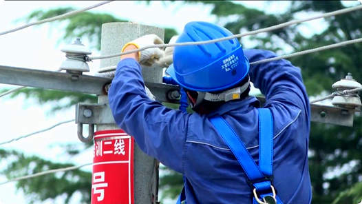 深化“产改”进行时丨人才队伍从“单兵作战”到“雁阵齐飞”