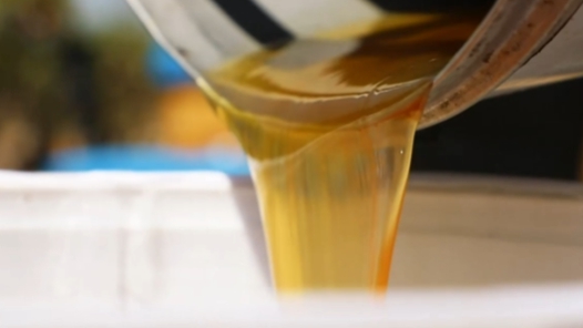 乘“蜂”而上 老田的甜蜜生活