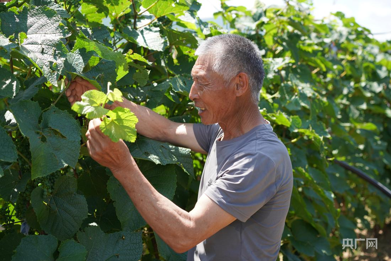 075af7cb96fa4175394517984876057011