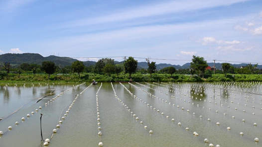 活力中国调研行｜江南水乡绿意浓——浙江产业绿色转型见闻