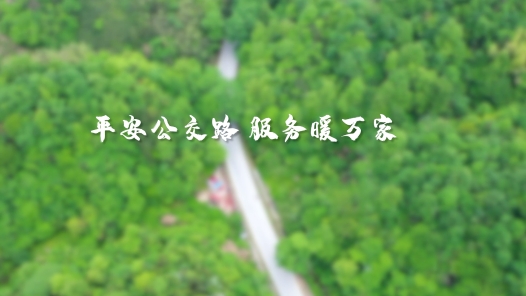 劳模故事·六安市劳动模范丨李杨：平安公交路 服务暖万家