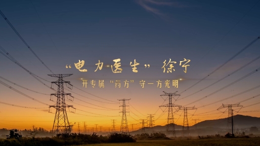 劳模故事·全国五一劳动奖章丨徐宁：“电力医生”开专属“药方”守一方光明