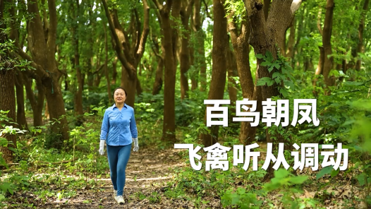 劳模故事·上海市劳动模范丨高志洁：百鸟朝凤 飞禽听从调动