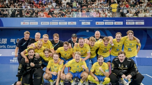 成都世运会丨软式曲棍球——瑞典队夺得男子冠军