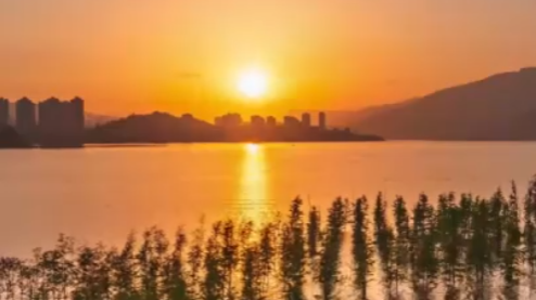 活力中国调研行丨“一湖碧水”成为拉动区域消费“黄金水道”