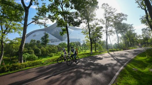 成都世运会丨文化活动异彩纷呈 多元交流展现城市魅力