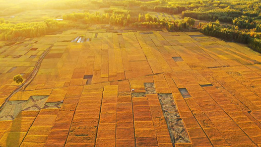 铭记历史 缅怀先烈·今昔巨变丨陇东粮仓崛起现代新城