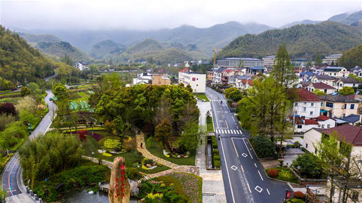 活力中国调研行｜之江大地追“新”逐“绿”